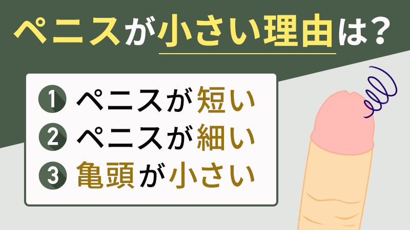 ペニスが小さい・・・デメリットと改善方法