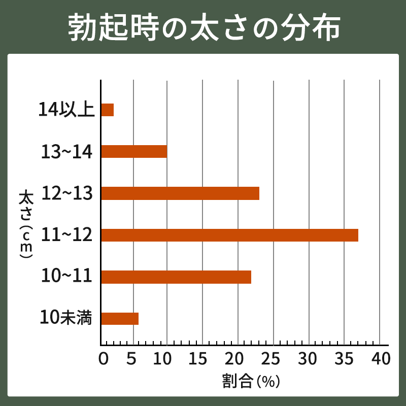 勃起時のペニスの太さの分布図