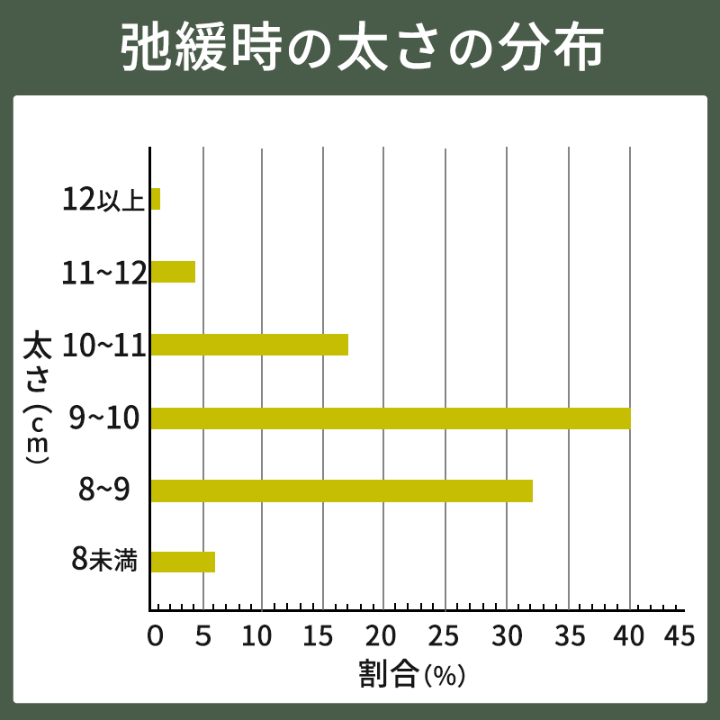 弛緩時のペニスの太さの分布図