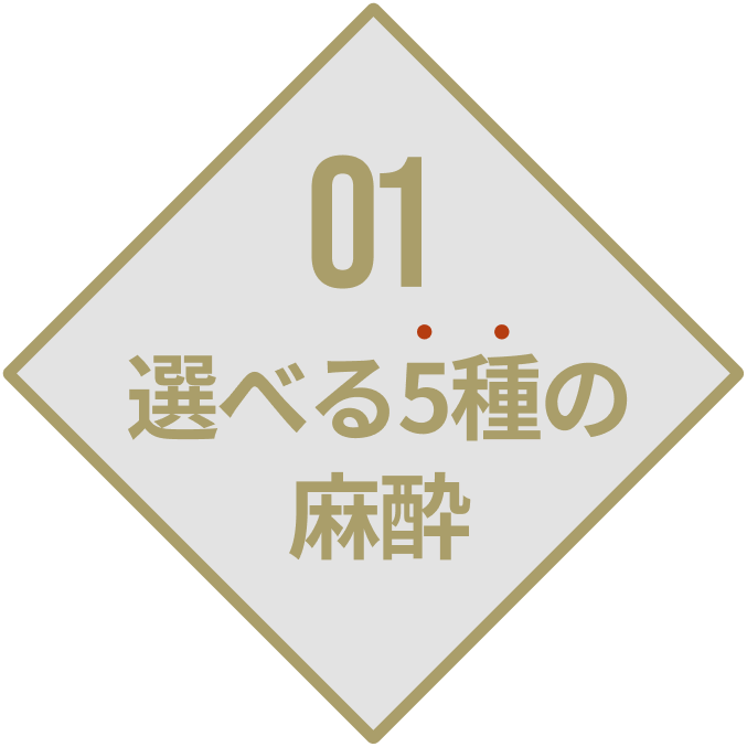 選べる5種の麻酔